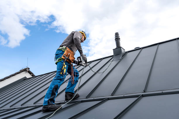 Best Roofing for New Construction  in Maynardville, TN